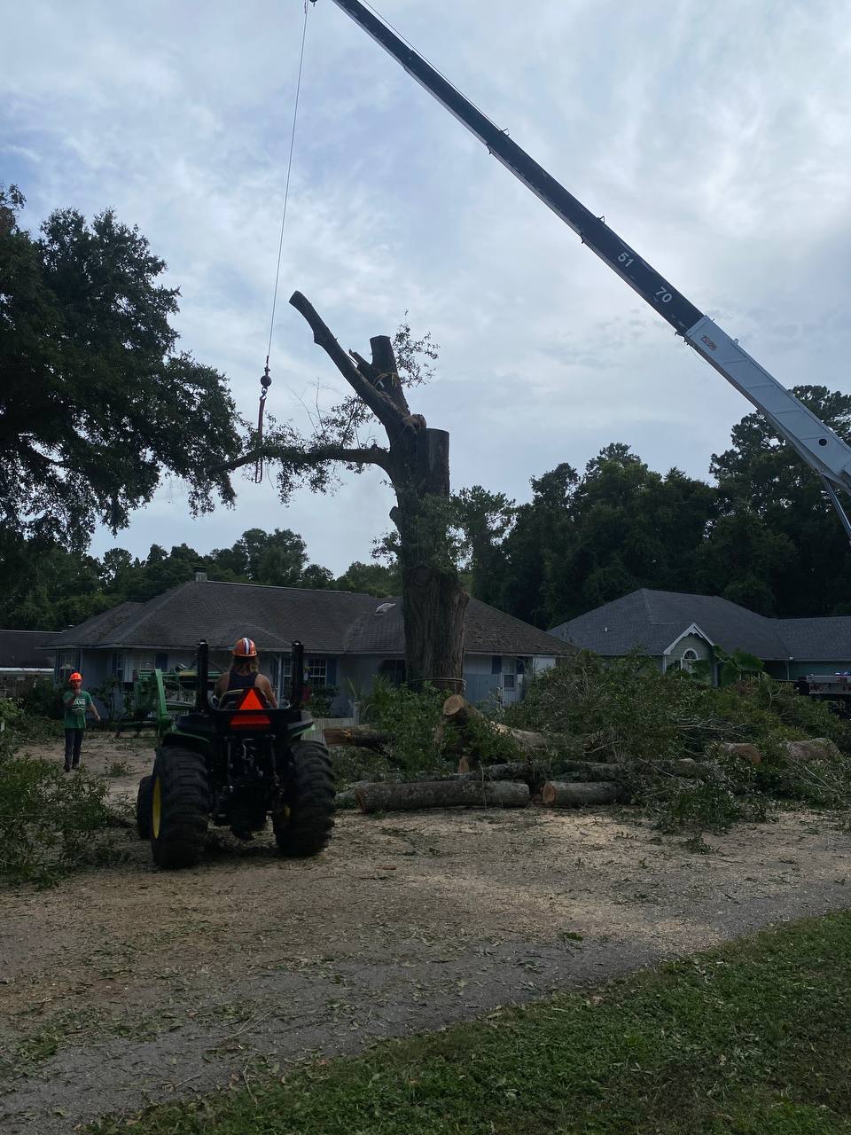 7 Signs Your Tree Needs to Be Removed