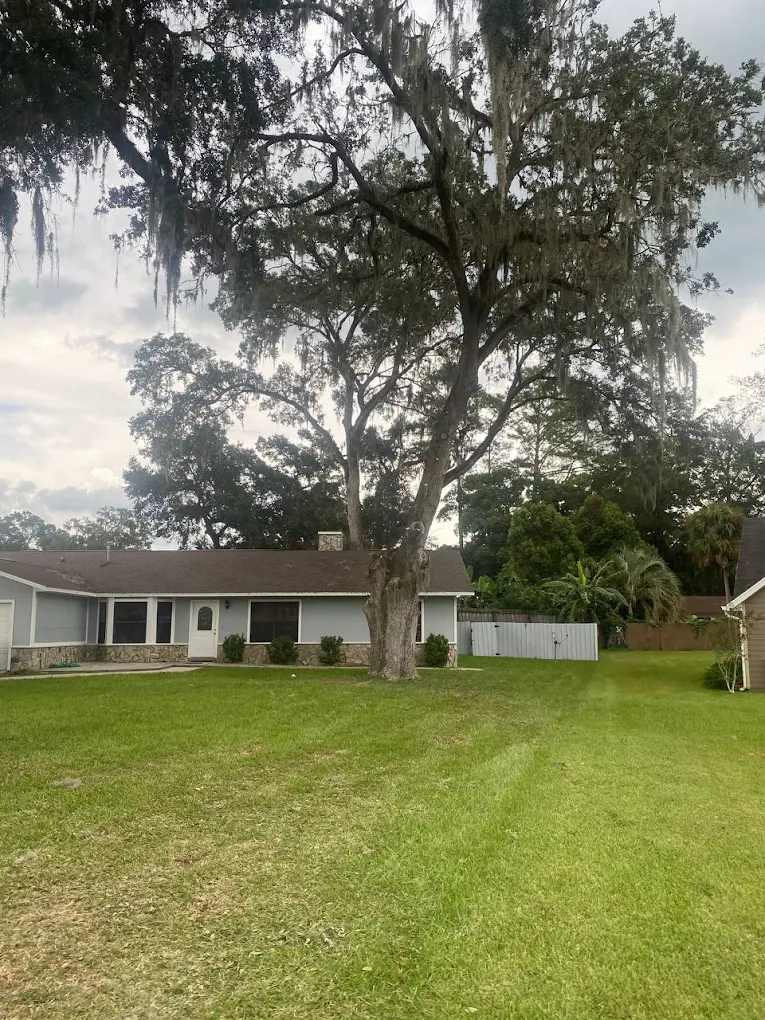 Tree service background