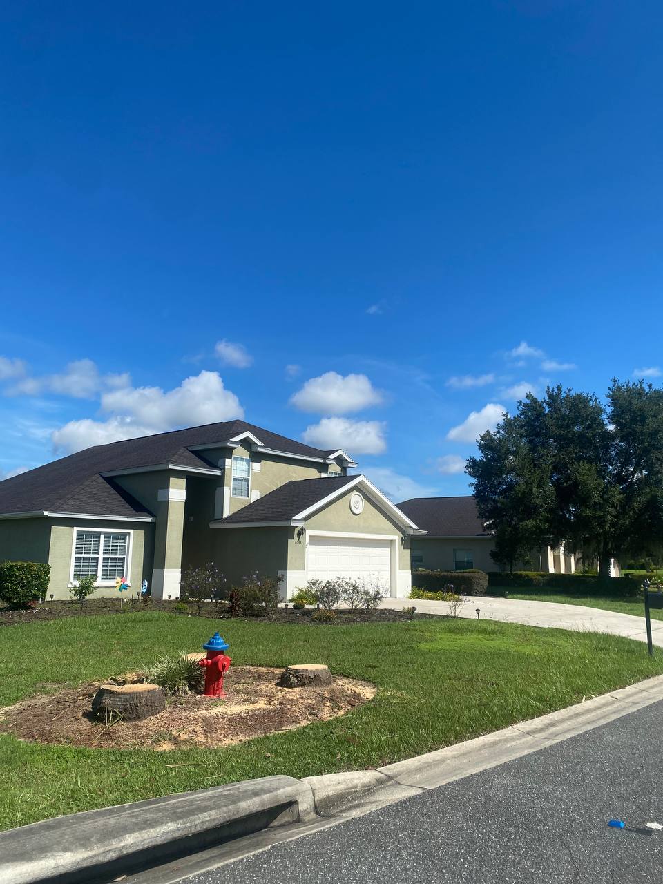 Stump grinding in Marion County