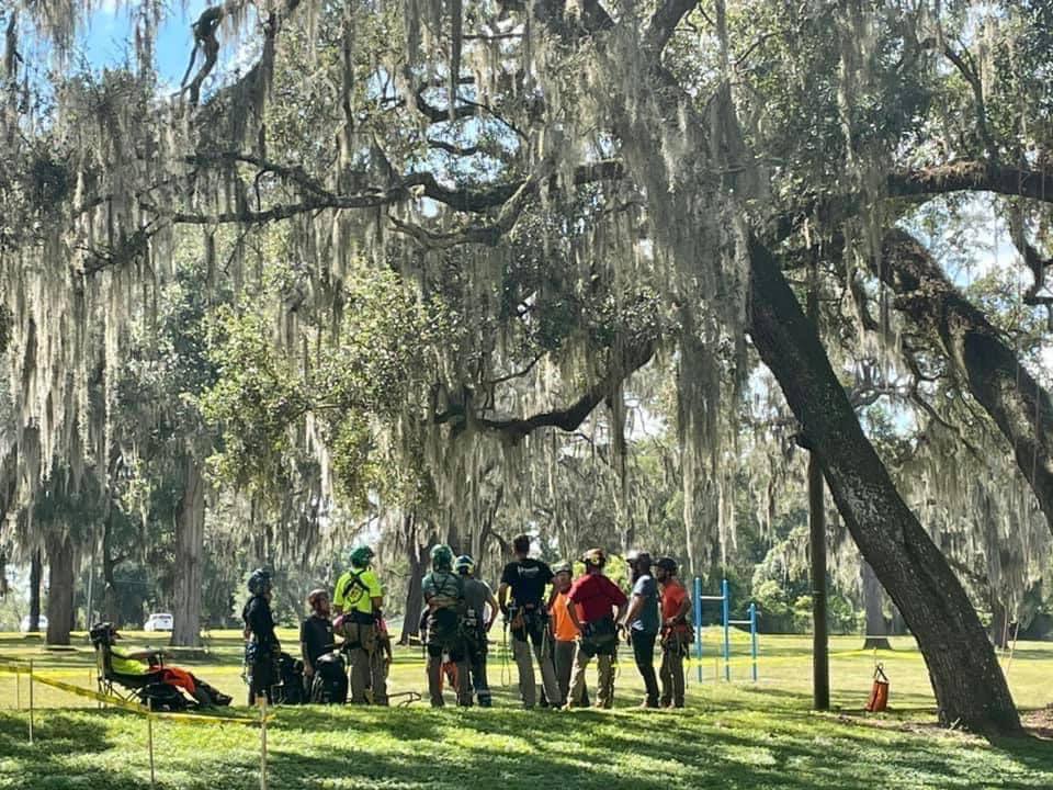 Tree Service Legends team at work in Central Florida