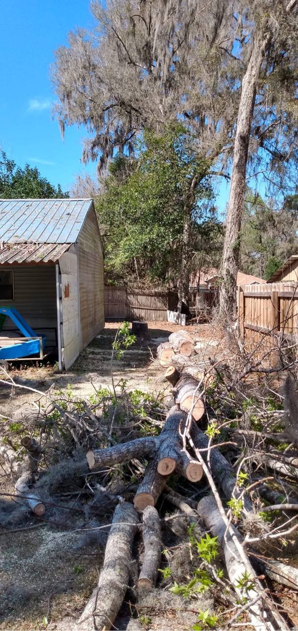 Commercial Tree Services