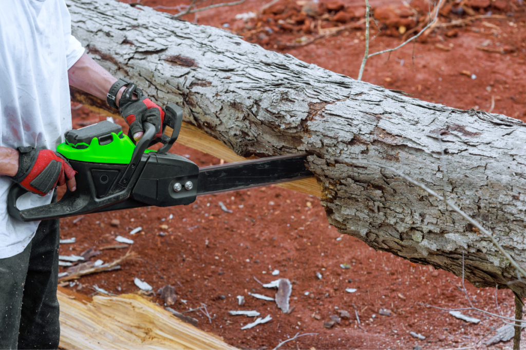 How Tree Removal Can Expand Your Outdoor Living Area
