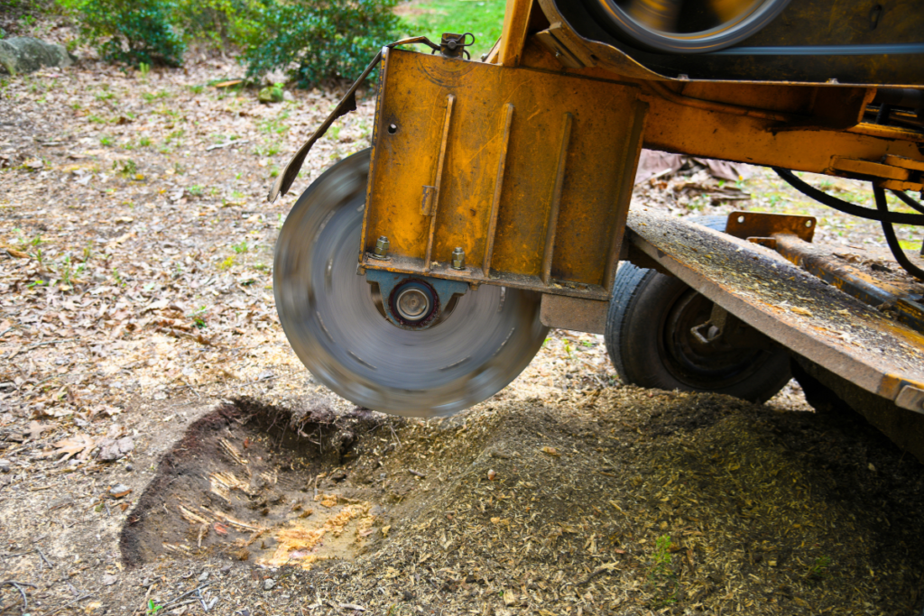 Stump Removal