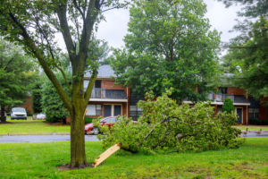 The Importance of Lot Clearing for Property Value