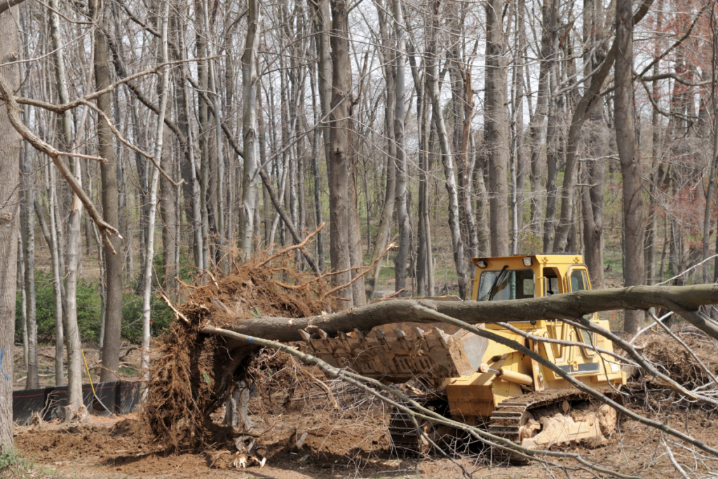 How Lot Clearing Can Prepare Your Property for Construction