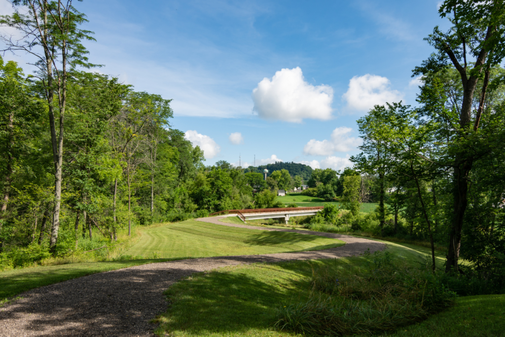 The Importance of Lot Clearing for Property Value
