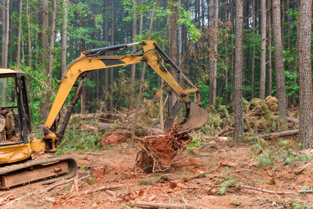 Stump Removal (5)