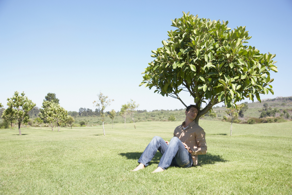 Man sitting in tree